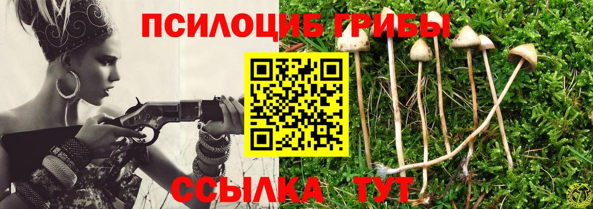 Канаш  Галлюциногенные грибы мухоморы  Вход с VPN 
